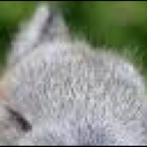 Meet your Posher, Donovan